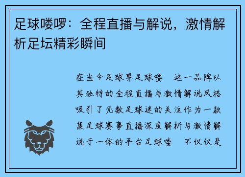足球喽啰：全程直播与解说，激情解析足坛精彩瞬间